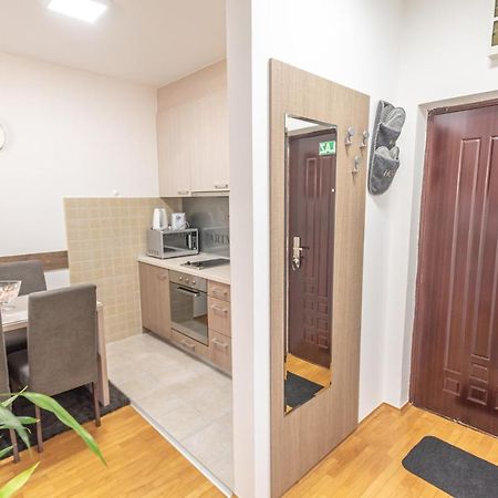 Apartment Danica Banja Koviljača Kültér fotó